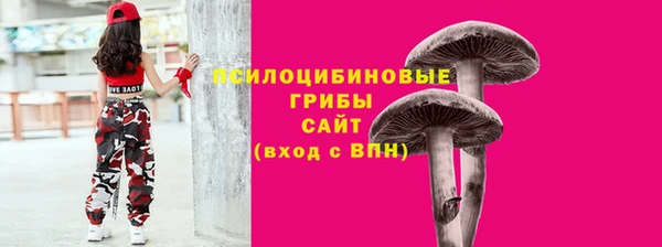 PSILOCYBIN Аркадак