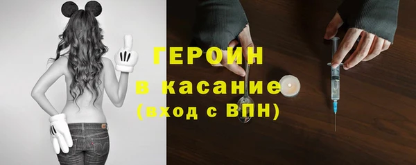PSILOCYBIN Аркадак
