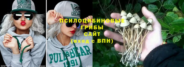 PSILOCYBIN Аркадак
