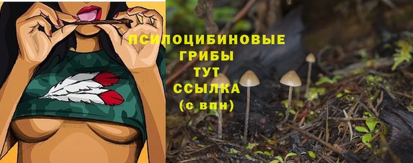 PSILOCYBIN Аркадак